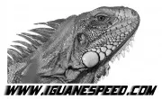 Www.iguanespeed.com est une marque déposée par EURL CFK2 IMPORT EXPORT