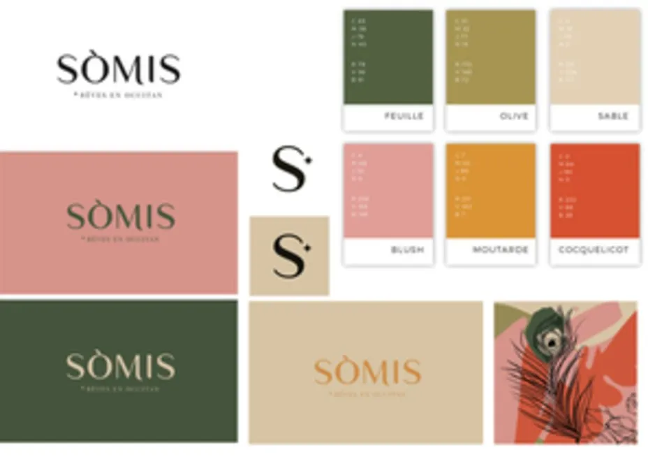 S Somis est une marque déposée par SOMIS