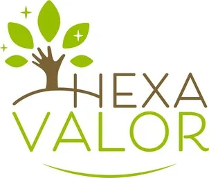 Hexa Valor est une marque déposée par SAS HEXAVALOR