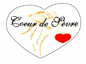 Coeur De Sevre est une marque déposée par FROMAGERIES LESCURE