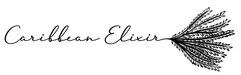 Caribbean Elixir est une marque déposée par CARIBBEAN ELIXIR