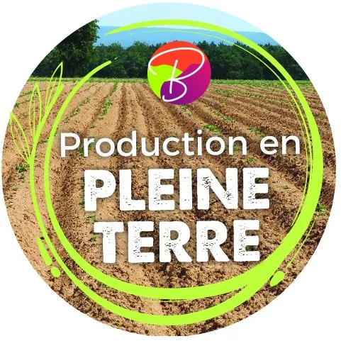Production En Pleine Terre est une marque déposée par BEGOT DAVID