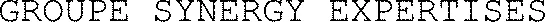 Groupe Synergy Expertises est une marque déposée par GROUPE SYNERGY EXPERTISES