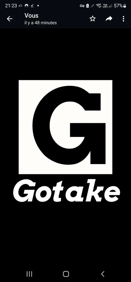 G Gotake est une marque déposée par ZHD IMPORT