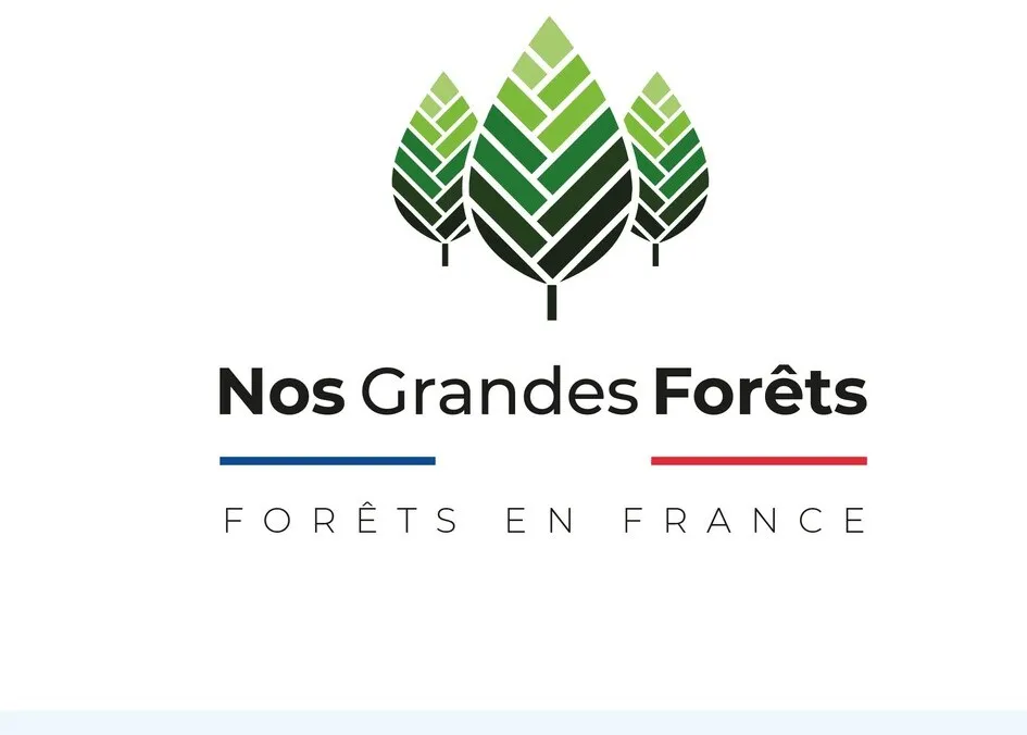 Nos Grandes Forêts Forêts En France est une marque déposée par SAS MA GRANDE FORET