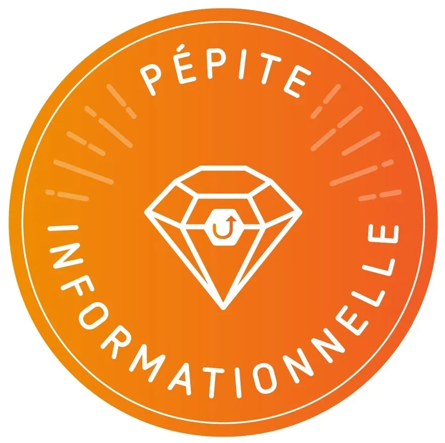 Pepite Informationnelle est une marque déposée par NETPRESTATION (sindup)