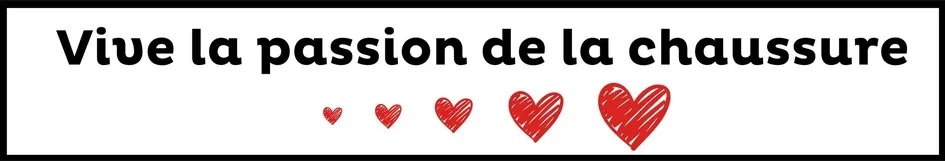 Vive La Passion De La Chaussure est une marque déposée par CHAUSSEA SAS