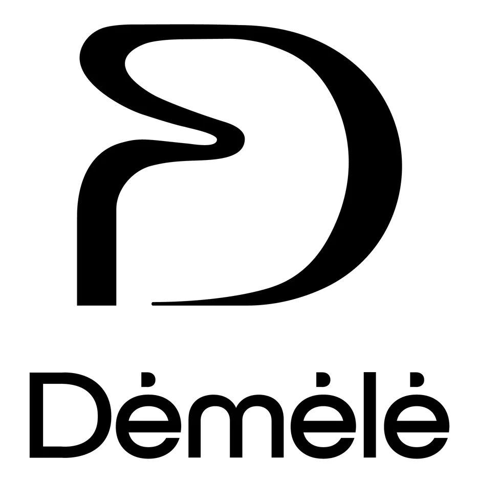  Démélé est une marque déposée par HELLO BEAUTIFUL (HB)
