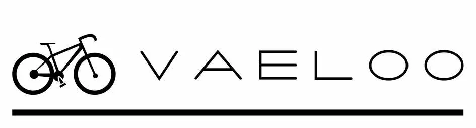 Vaeloo est une marque déposée par BAJJATI CONSULTING