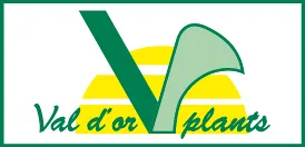 V Val D'or Plants est une marque déposée par COMMERCIALISATION RENE BRIAND