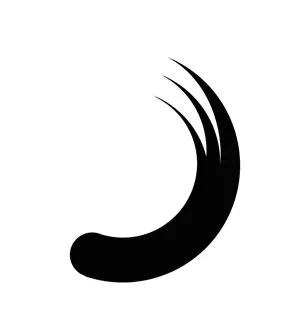 est une marque déposée par PLANISWARE