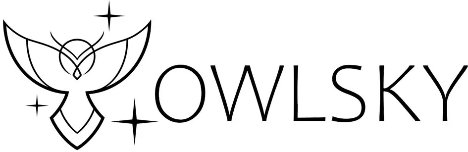 Owlsky est une marque déposée par SIGMAWORKS