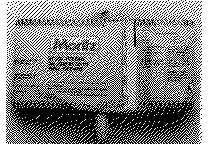 M Moritz est une marque déposée par MORITZ SA SOC EXPLOIT (MORITZ)