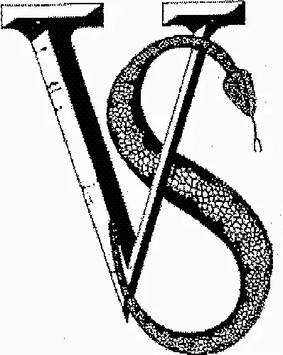 Vs est une marque déposée par VIA SCARPA