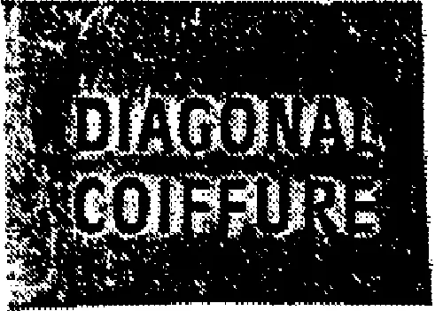 Diagonal Coiffure est une marque déposée par DIAGONAL GESTION