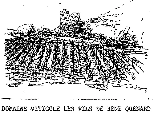 Domaine Viticole Les Fils De Rene Quenard est une marque déposée par SCEA LES FILS DE RENE QUENARD (LE CELLIER DES TOURS)