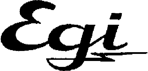 Egi est une marque déposée par EGI (EGIE)