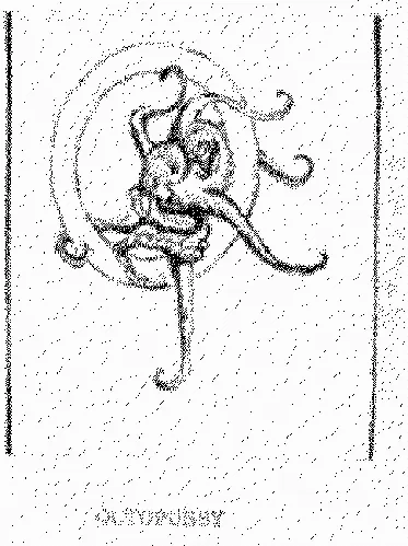 Octopussy est une marque déposée par OCTOPUSSY