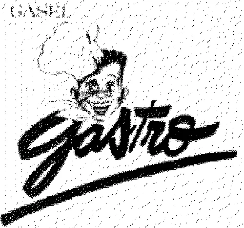 Gasel Gastro est une marque déposée par GASEL
