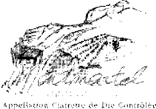 Montmartel est une marque déposée par LA CAVE DE DIE JAILLANCE