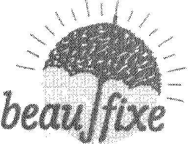 Beau Fixe est une marque déposée par SOCIETE D'EXPLOITATION LE CAIMAN (CARNET DE VOL)