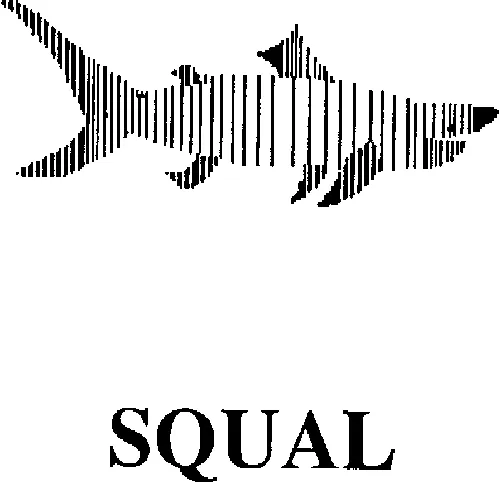 Squal est une marque déposée par GRIMAUD TRANSPORTS