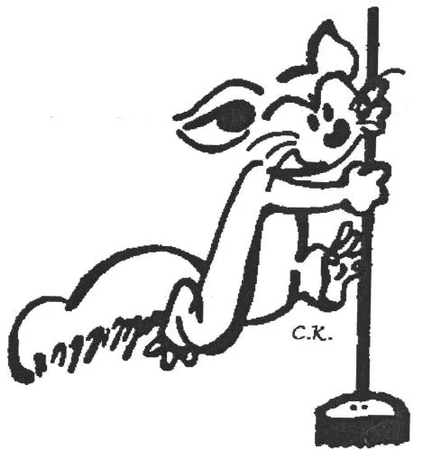 C.k. est une marque déposée par C.K. NETTOYAGE SARL