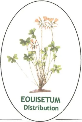 Equisetum Distribution est une marque déposée par EQUISETUM DISTRIBUTION