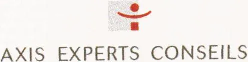 Axis Experts Conseils est une marque déposée par PKF ARSILON ENTREPRENEURS
