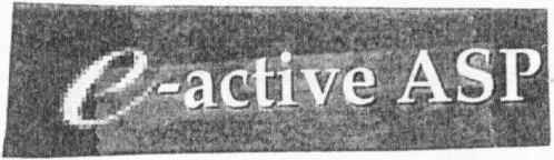E-Active Asp est une marque déposée par NETFECTIVE TECHNOLOGY SAS