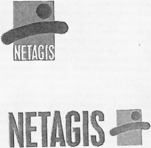 Netagis est une marque déposée par SMA NETAGIS