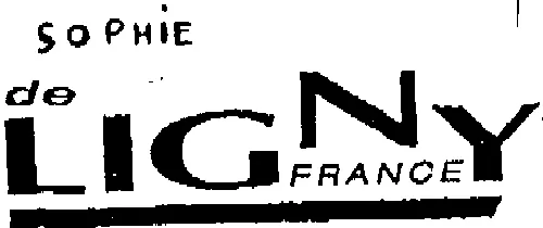 Sophie De Ligny France est une marque déposée par GROUPE GAILLARD (EMILABO-ENERGIE MEDICAL-PROVENCE MEDICAL-ESPACE MEDICAL-LA POPULAIRE P)