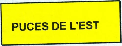 Puces De L'est est une marque déposée par ARTCOM REIMS (ARTCOM REIMS EURO PUCES EURO ANTIK)