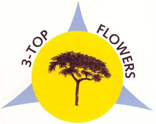 3-Top Flowers est une marque déposée par BIGOT FLEURS