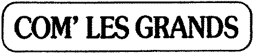 Com' Les Grands est une marque déposée par NEJAVA