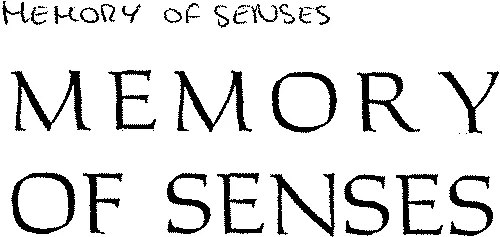 Memory Of Senses est une marque déposée par M.G.L.F