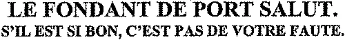 Le Fondant De Port Salut. S'il Est Si Bon, C'est Pas De Votre Faute. est une marque déposée par SOCIETE PAR ACTIONS SIMPLIFIEE DES FERMIERS REUNIS (S.A.S.F.R.)