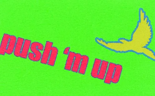 Push'mup est une marque déposée par F G D