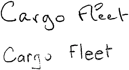 Cargo Fleet est une marque déposée par MMA IARD