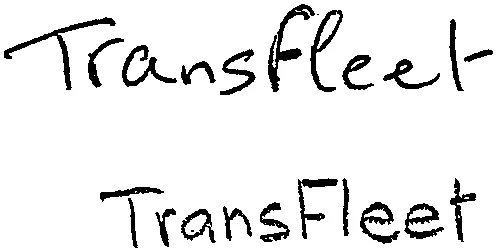 Transfleet est une marque déposée par MMA IARD