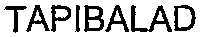 Tapibalad est une marque déposée par CBS CHAUDRONNERIE DE LA BASSEE SERVICES (CBS)