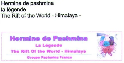 Hermine De Pashmina La Legende The Rift Of The World – Himalaya est une marque déposée par GROUPE PASHMINA FRANCE (WWW.PASHMINA-FRANCE.COM ET)