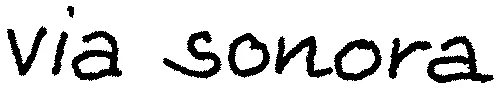 Via Sonora est une marque déposée par VIA SONORA (VIA SONORA-DELAGE ETUDES ACOUSTIQUES)
