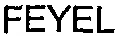 Feyel est une marque déposée par FEYEL & ARTZNER