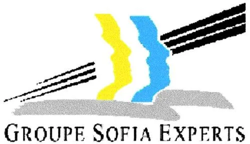 Groupe Sofia Experts est une marque déposée par SOCIETE D'ANALYSES DE REVISION ET D'EXPERTISE COMPTABLE (SODAREX)