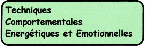Techniques Comportementales Energetiques Et Emotionnelles est une marque déposée par SCHNEIDER JEAN