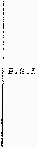 P.s.i est une marque déposée par PROVENCE SERVICE ISOLATION