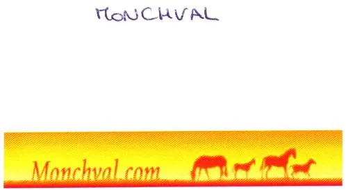 Monchval.com est une marque déposée par MONCHVAL.COM