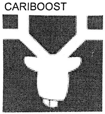 Cariboost est une marque déposée par INTUISPHERE