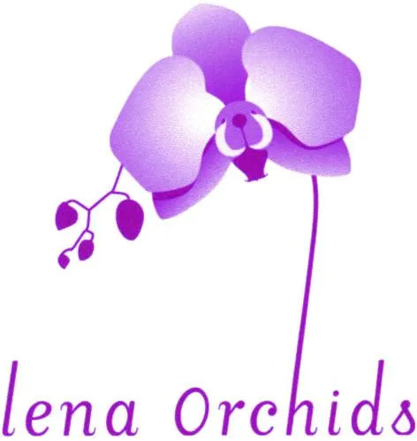Lena Orchids est une marque déposée par ORCHIDS INNOVATION